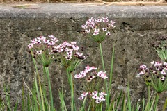 Killikus&reg; Fotographie